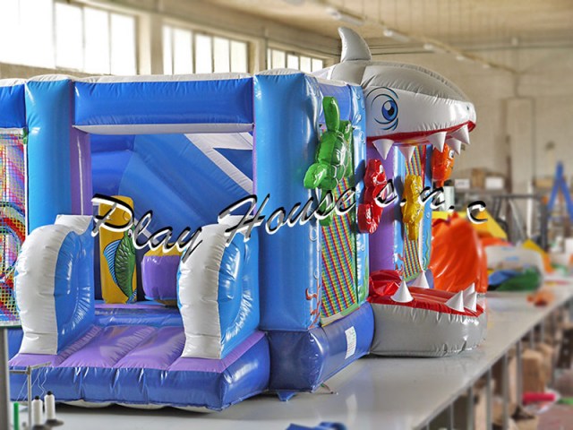 giochi-gonfiabili-multiattivita-(12)