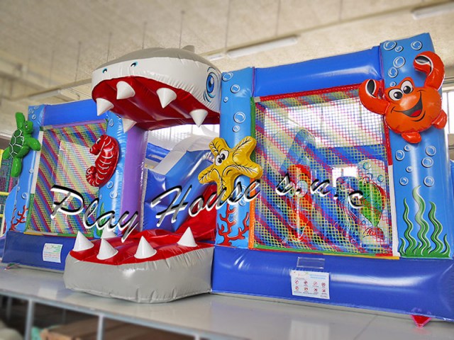 giochi-gonfiabili-multiattivita-(3)9